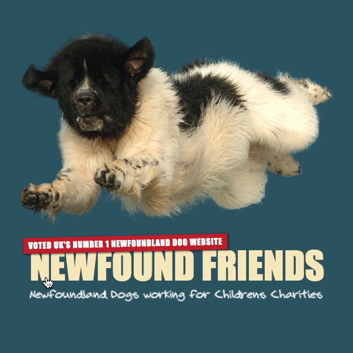 Welcome to Newfound Friends | Newfound Friends